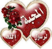 احمد عزالدين