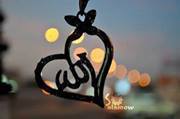 Samar Mohamed