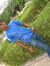 Hemal C...