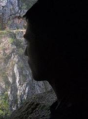 Милисав Вујичић