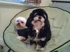 Karlavanessa1111gmail.com