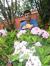 Durga B...