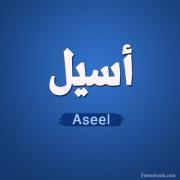 Aseel Ali