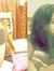 Ayushi ...