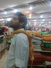 Mushfiq Hasan