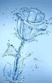 Ankit Vishal