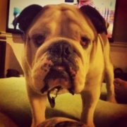 Samantha-william Dellinger