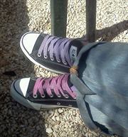 Μαρία Οικονόμου