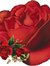 Rose Or...