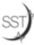 Second Star Technologies