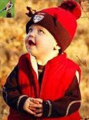 عبد الجزائري