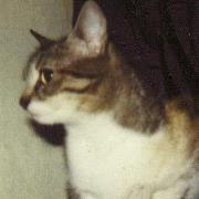 Έστα Παπαγεωργίου