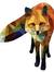 Kevin Fox