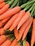 Carrot ...