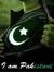 Awais H...
