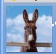 Илиян Марков