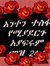 Tsegaye Yifru