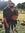 Steve Mohr | 2 comments