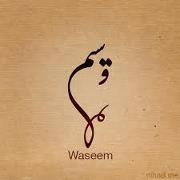 Mohammad Waseem