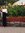 Manal Abbas | 3 comments