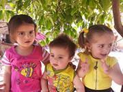 Salm Abdan