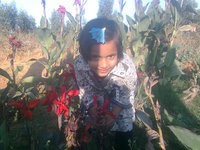 Syed Mehdi