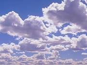 محمد المشرعي