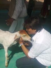 Ajay Dubey