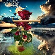 عنوان الإحترام