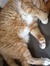 Catheri...