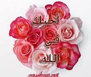 Ahmed Ghalab
