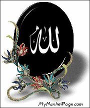 هبة زكير