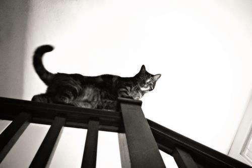 Goodreads profile picture for @gallagher