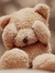 Claire Bear