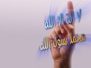 Ahmed Selim