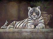 Stephany Moler farrell