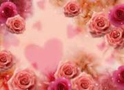 Hapibty Shahd