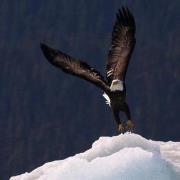 Christopher Freemont