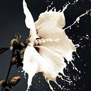 أيوب بن علي السعوي