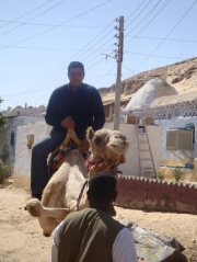 محمود عبدالعال