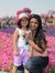 Kinjal ...