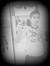 Talha T...