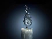 Gregorius Erfianto unscio