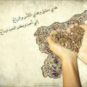 Fayez Elsoori