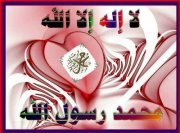 أحلى،دنيا حمزي