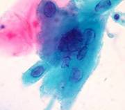 Боряна Димитрова