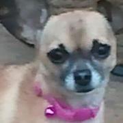 Roseann Byrne sobers