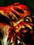 Mortem Soma