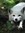 Thao (ohdamnit)