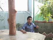 Hasan Helaly